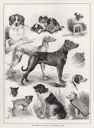 The Kennel Club Show at the Crystal Palace by Louis Wain