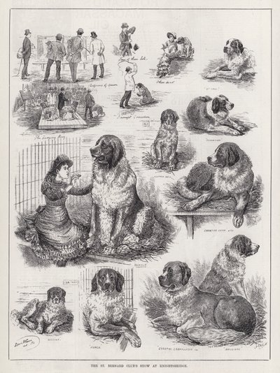 The St Bernard Club