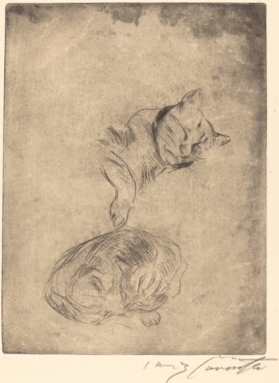 Study of Cats, 1920 by Lovis Corinth