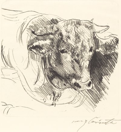 Head of a Steer by Lovis Corinth