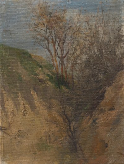 Ditch by Laszlo Mednyanszky