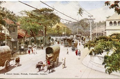 A Street Scene, Pettah, Colombo, Ceylon, c.1900-20 by Ltd. Ceylon Plâté