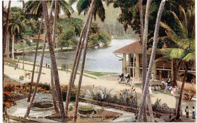 View from the Temple of the Holy Tooth, Kandy, Ceylon, c.1900-20 by Ltd. Ceylon Plâté
