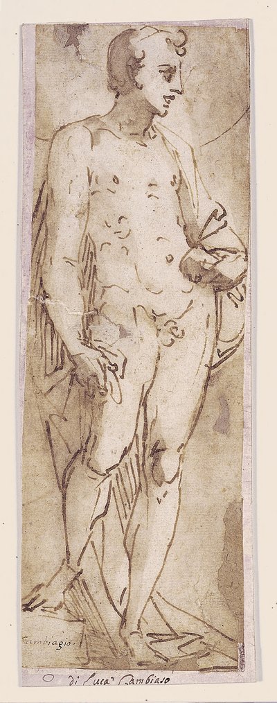 Youth with a Mantle Standing in a Niche by Luca Cambiaso