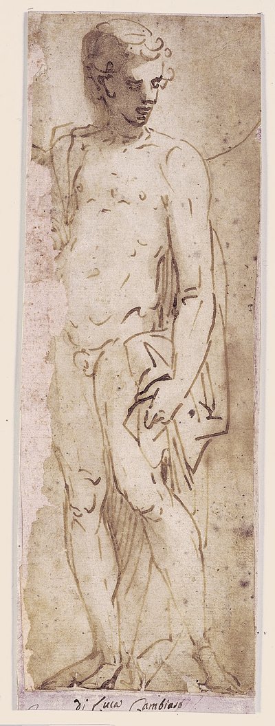 Youth with a Mantle Standing in a Niche by Luca Cambiaso
