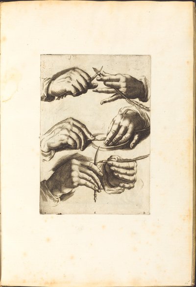 Print from Drawing Book by Luca Ciamberlano