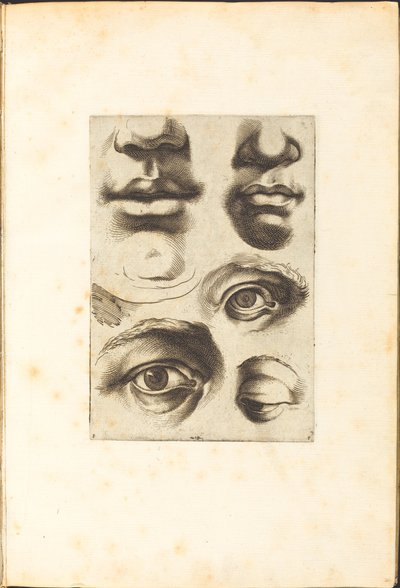 Print from Drawing Book by Luca Ciamberlano