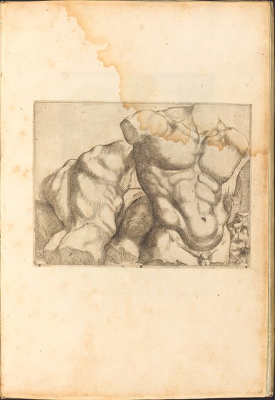 Print from Drawing Book by Luca Ciamberlano