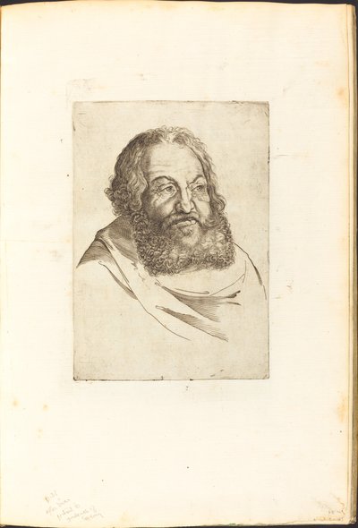 Print from Drawing Book by Luca Ciamberlano