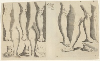 Studies of Legs (Drawing Book) (Le Livre de Dessein) by Luca Ciamberlano