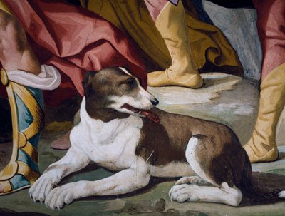 Dog (detail) by Luca Ferrari
