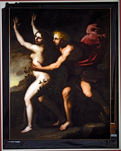 Apollo and Daphne by Luca Giordano