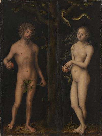 Adam and Eve by Lucas Cranach the Elder