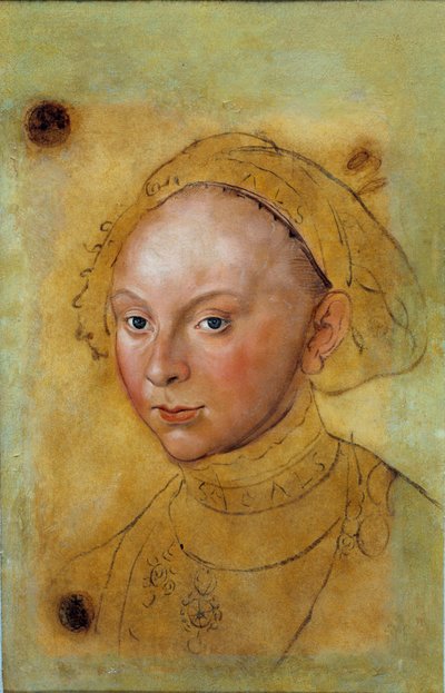 Portrait of Catherine de Brunswick Grubenhagen by Lucas the Elder Cranach