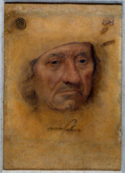 Portrait of Doctor Petrus von Clapis by Lucas the Elder Cranach