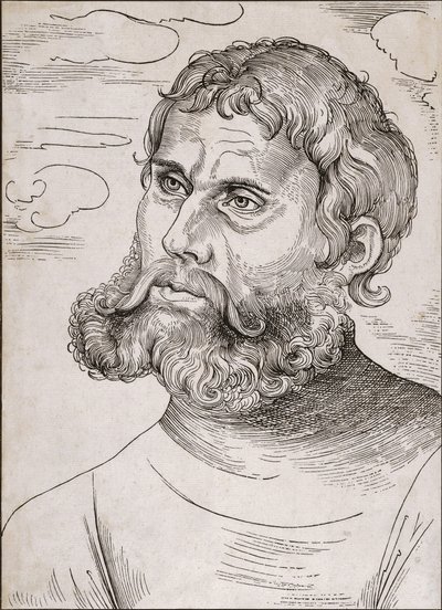 Portrait of Martin Luther as 