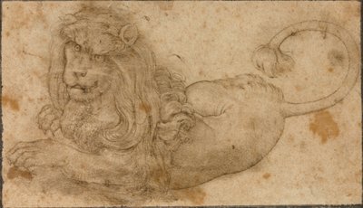 Study of a Lion by Lucas the Elder Cranach