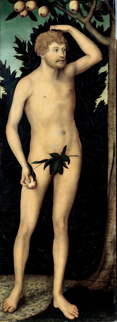 Adam by Lucas the Younger Cranach