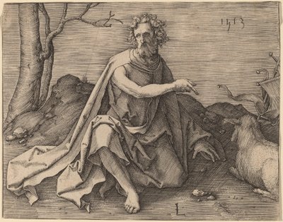 Saint John the Baptist in the Desert by Lucas van Leyden