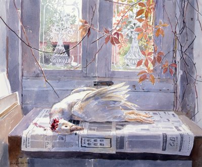 Summer (A Gander