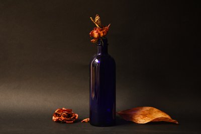 Dried Rose Blue Bottle by Ludmila Shumilova