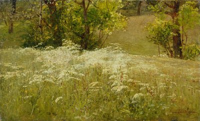 Cow Parsley in a Meadow by Ludovico Cavaleri