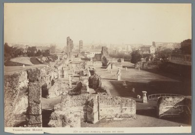 Ruins of the Imperial Palaces on the Palatine Hill in Rome by Ludovico Tuminello