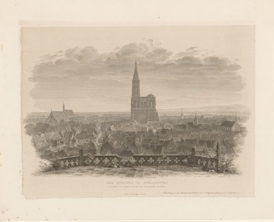 View of the Cathedral of Strasbourg by Ludwig Friedrich Schnell