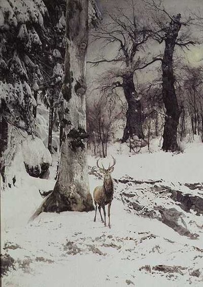 A Stag in a Snowy Wood by Ludwig Fromme