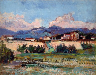 Houses and Gardens in Ardenza by Luigi Levi