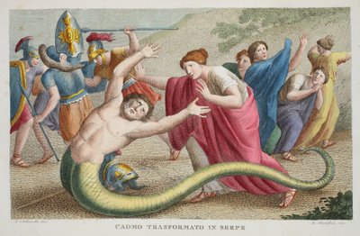 Cadmus into a Serpent or Cadmo Transformato in Serpe, Book IV, Illustration from Ovid