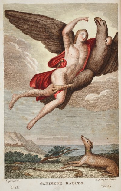 Ganymede carried off into Heaven, Book X, illustration from Ovid