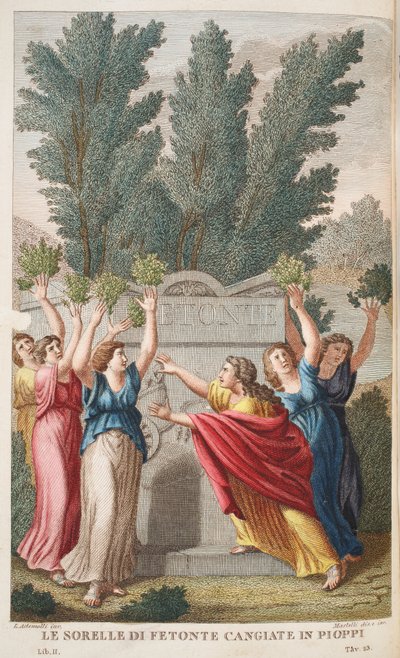 Heliades into Trees that Yield Amber or Le Sorrelle die Fetonte Cangiate in Pioppi, Illustration from Ovid