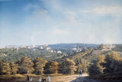 Capodimonte hill and villas along Ponti Rossi road by Luigi Fergola