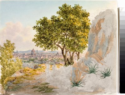 Panoramic View of Florence by Luigi Garibbo