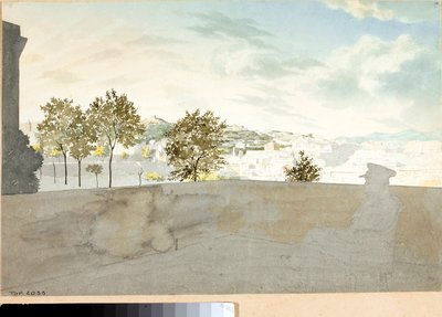 View over the City of Genoa from a Terrace by Luigi Garibbo