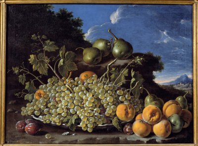 Grapes, pears, peaches and plums by Luis Egidio Menendez or Melendez