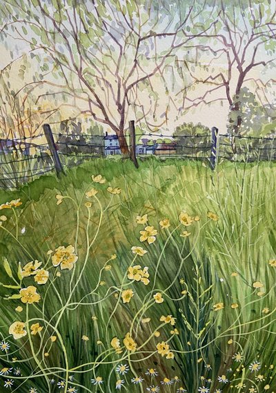 Meadow Flowers And Fence by Luisa Millicent