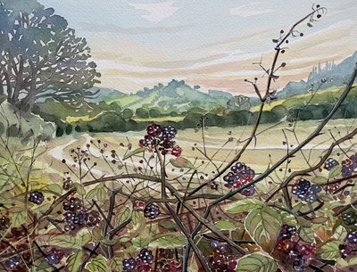 Ripe Blackberries Landscape by Luisa Millicent