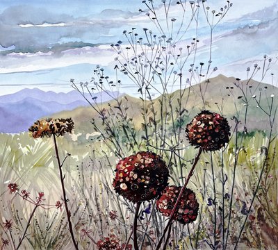 Wildflowers and Mountains by Luisa Millicent