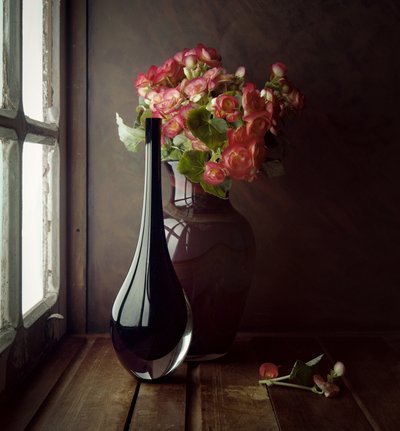 Pink Flowers Window Light by Luiz Laercio