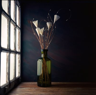 Window Light Still Life by Luiz Laercio
