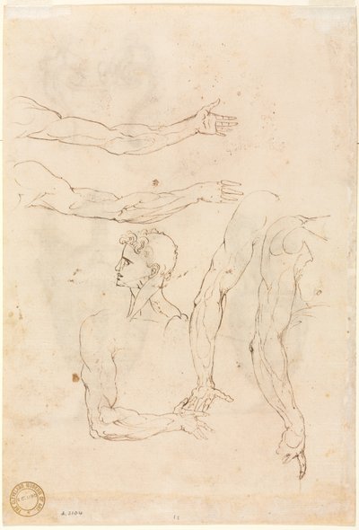Sketches of Five Arms and a Head Verso, mid 1500s by Luzio Romano