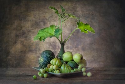Abundant Green Still Life by Lydia Jacobs