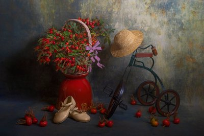 Autumn Rose Hips and Tricycle by Lydia Jacobs