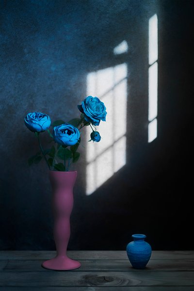 Blue Roses Window Light by Lydia Jacobs
