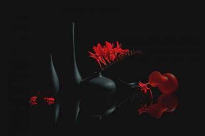 Crimson Blooms Black Vases by Lydia Jacobs