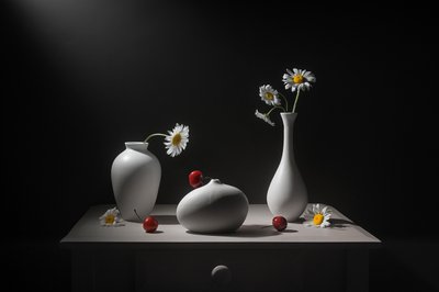 Daisies Vases and Cherries by Lydia Jacobs