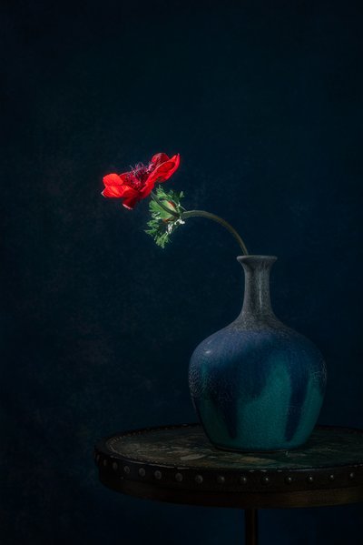 Dark Anemone Vase by Lydia Jacobs