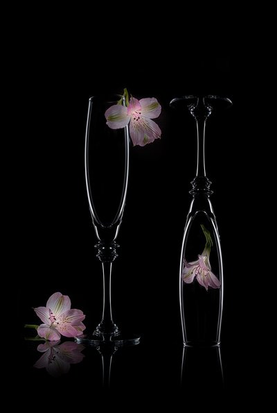 Delicate Floral Elegance by Lydia Jacobs
